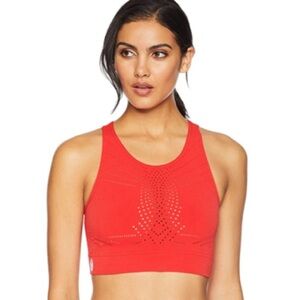 FP Movement Ecology Top!